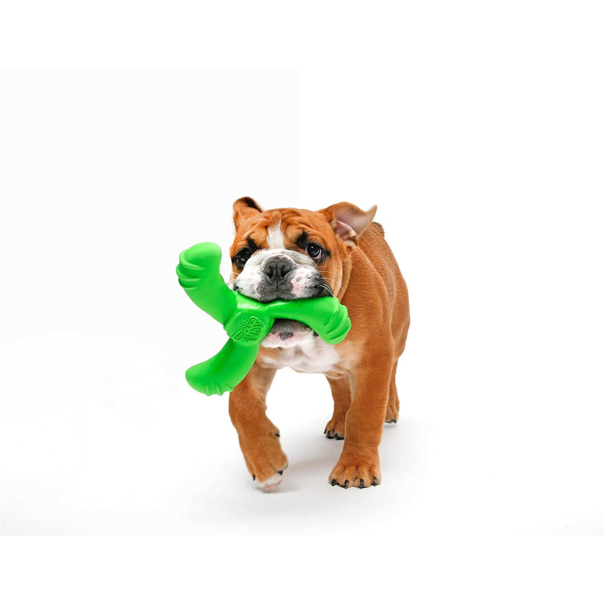 Dog Toy H913050