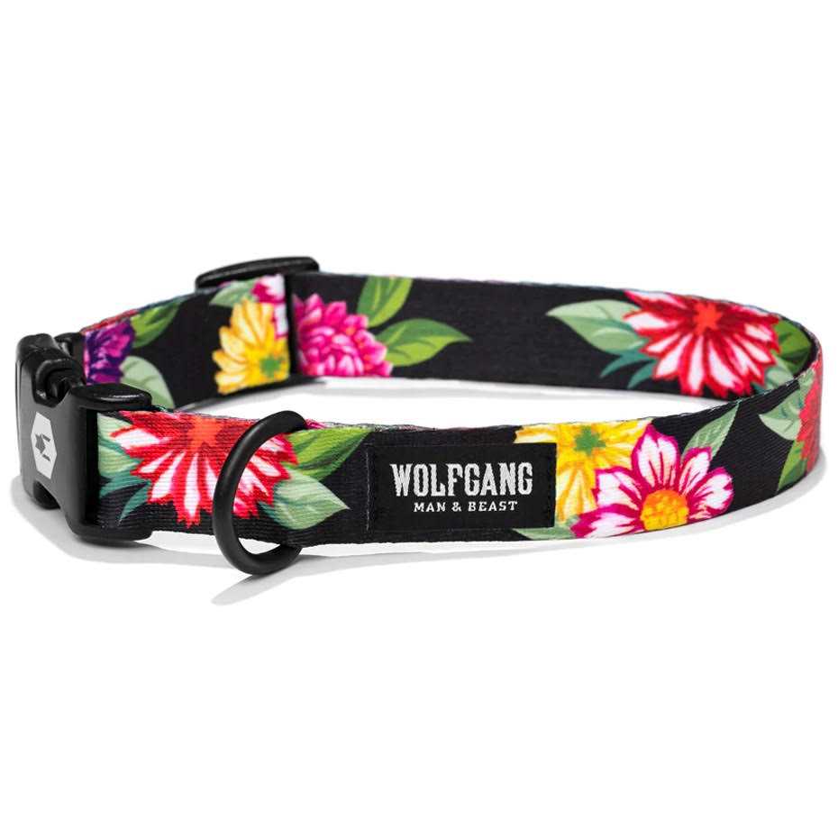 Dog Collar M713607