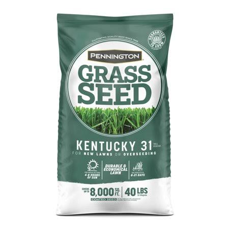 40 lbs. Tall Fescue Grass Seed P21504