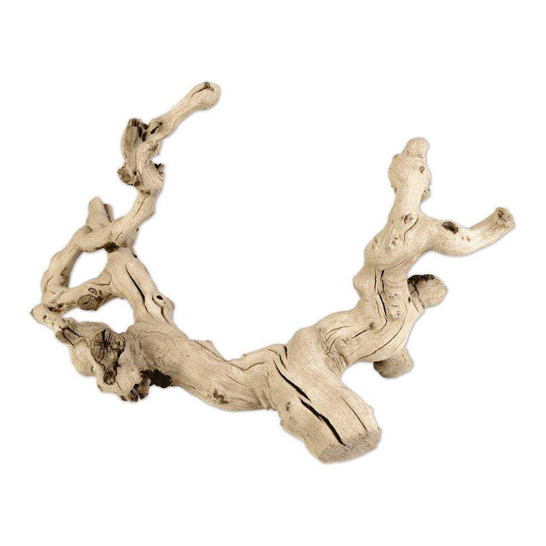 Grapewood Branch B3231