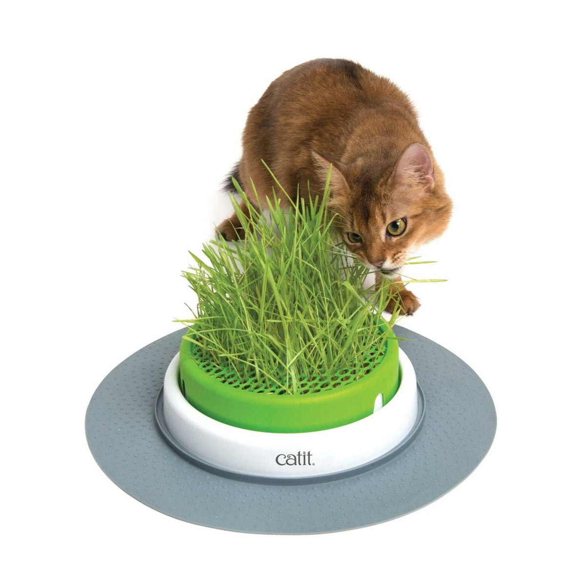 Grass Planter D709