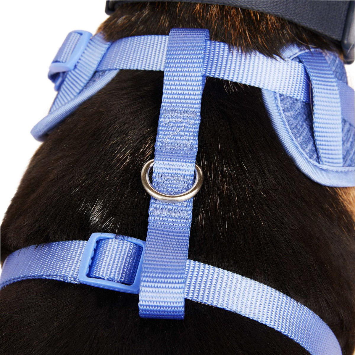 Heather Pullover Dog Harness W2566