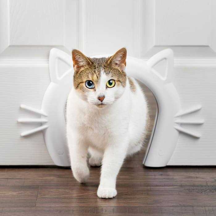 Cat Door for Interior Doors H917