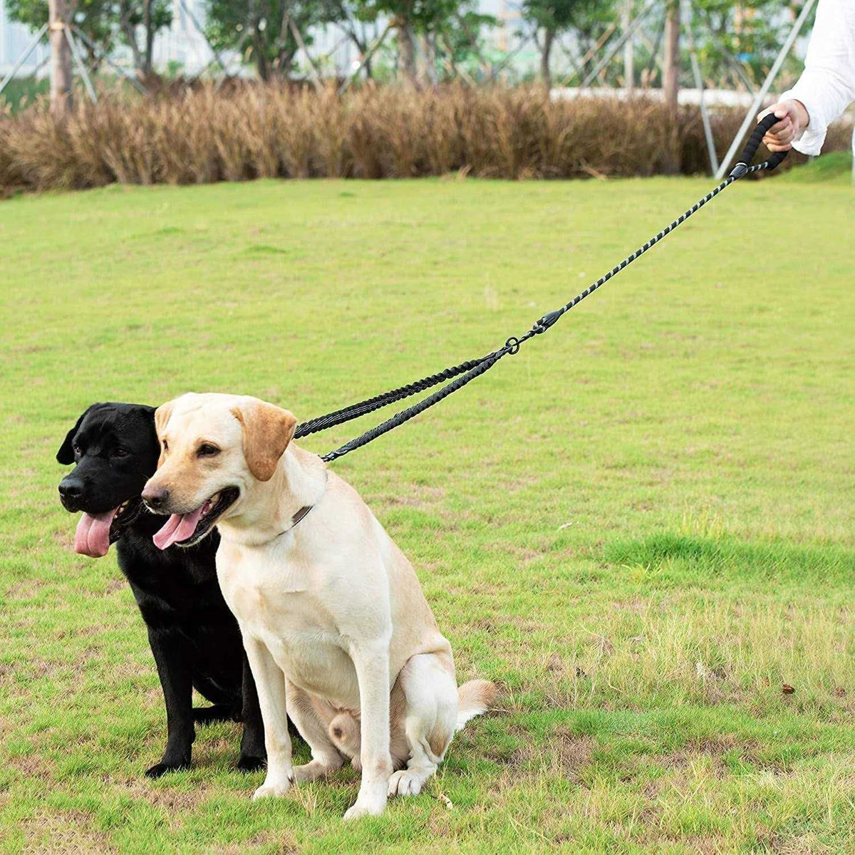 Double Dog Leash 360 Swivel No Tangle Q5457
