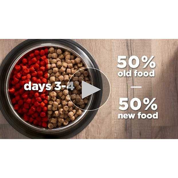 Chicken Dry Cat Food X5567