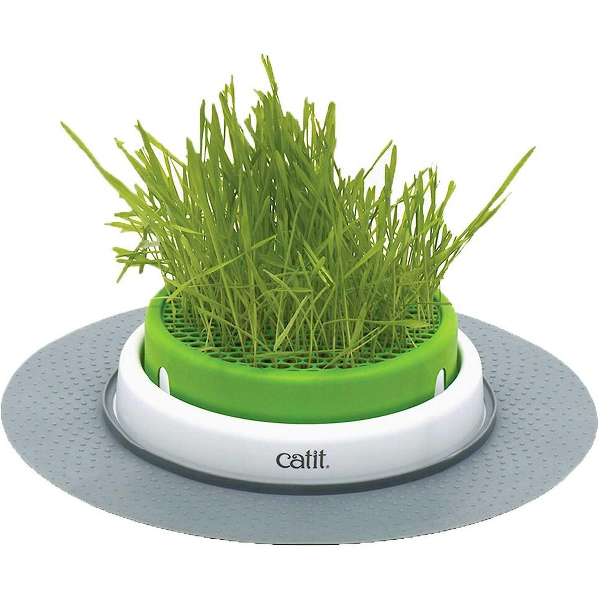 Grass Planter D709