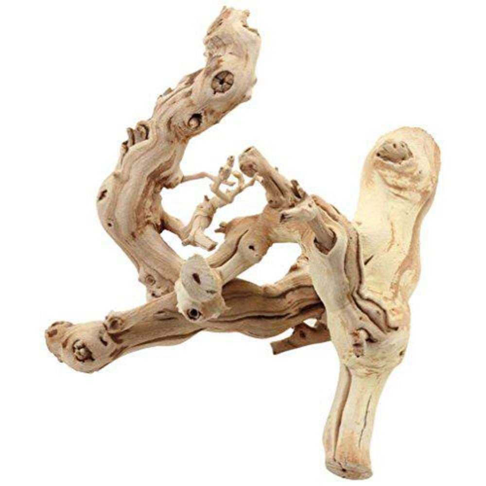 Grapewood Branch B3231