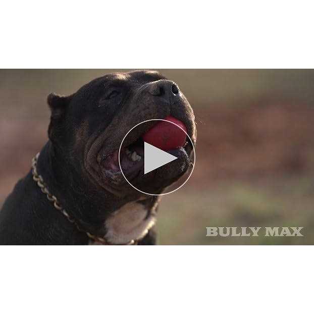 Dog Ball Toy for Aggressive Chewers K9214