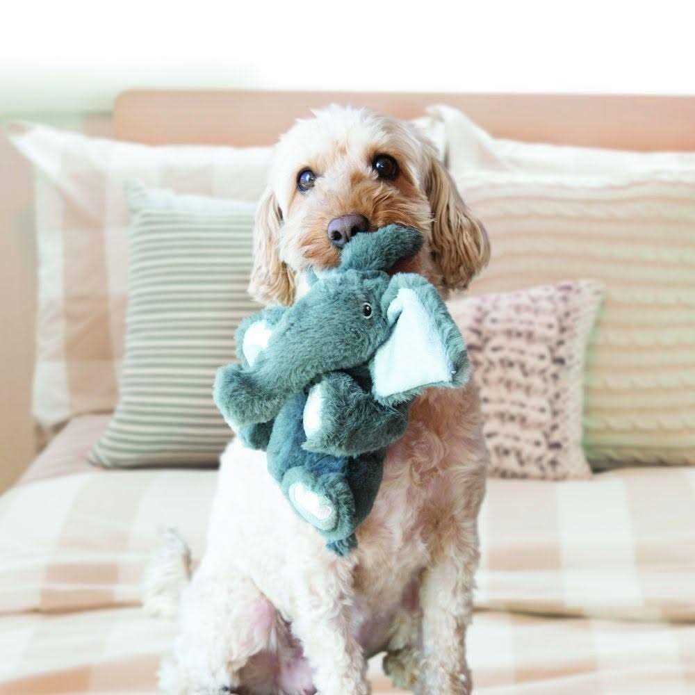 Dog Toy H7864