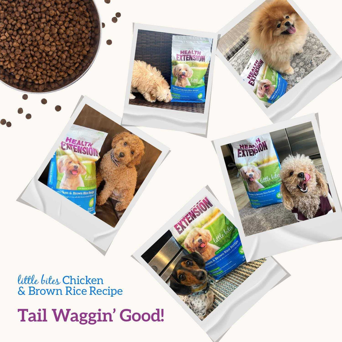 Chicken & Brown Rice Dry Dog Food B2466