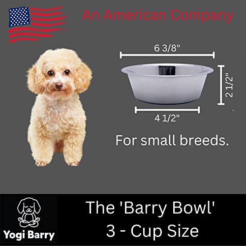 Stainless Steel Dog Bowl Set of 2 with Silicone Non-Skid Base J11305