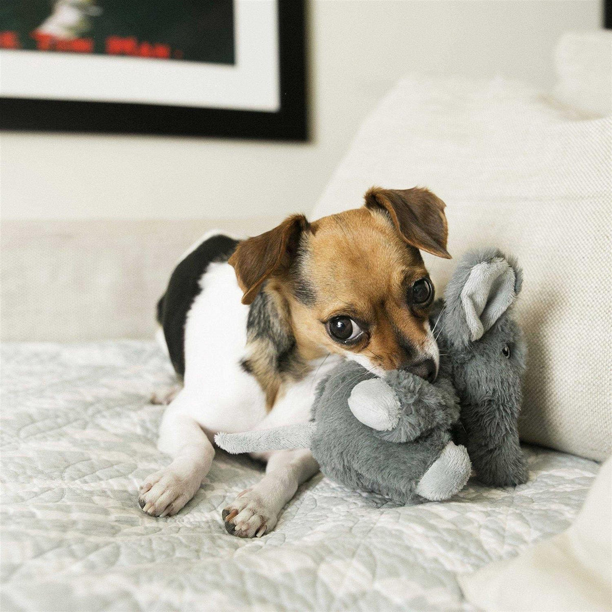 Dog Toy H7864