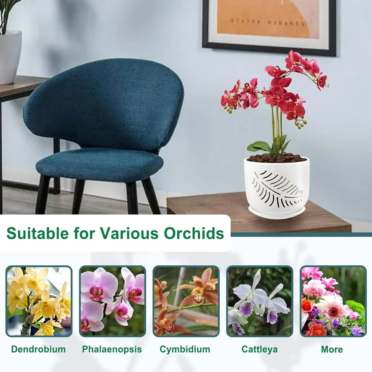 6+5 inch Ceramic Orchid Pots with Holes, 2 Pack D66477