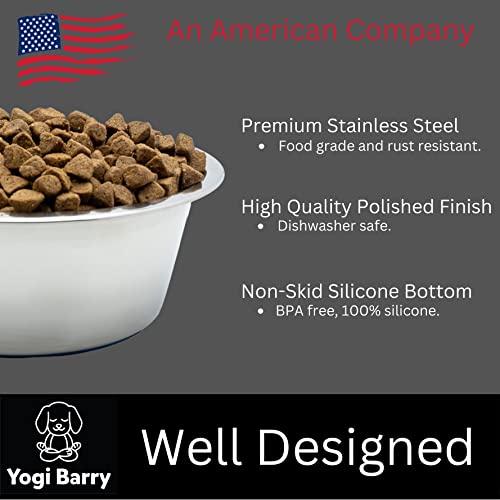 Stainless Steel Dog Bowl Set of 2 with Silicone Non-Skid Base J11305