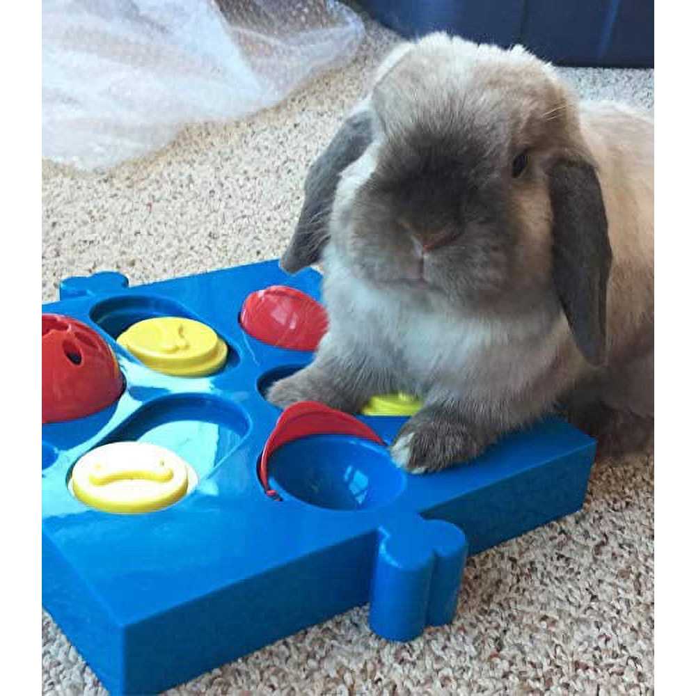 Connector Puzzle Interactive Dog Treat Toy J779