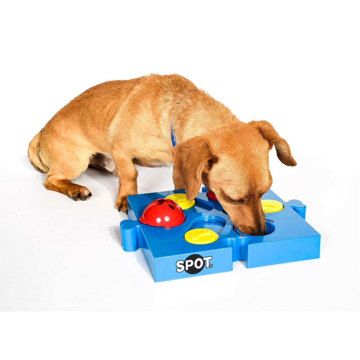 Connector Puzzle Interactive Dog Treat Toy J779