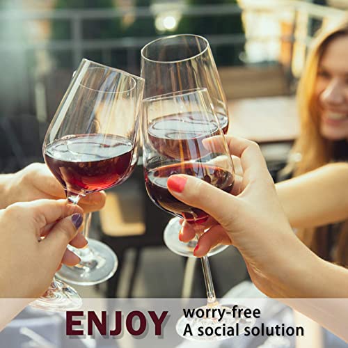 Wine Sulfite Filter 12 Pack N124