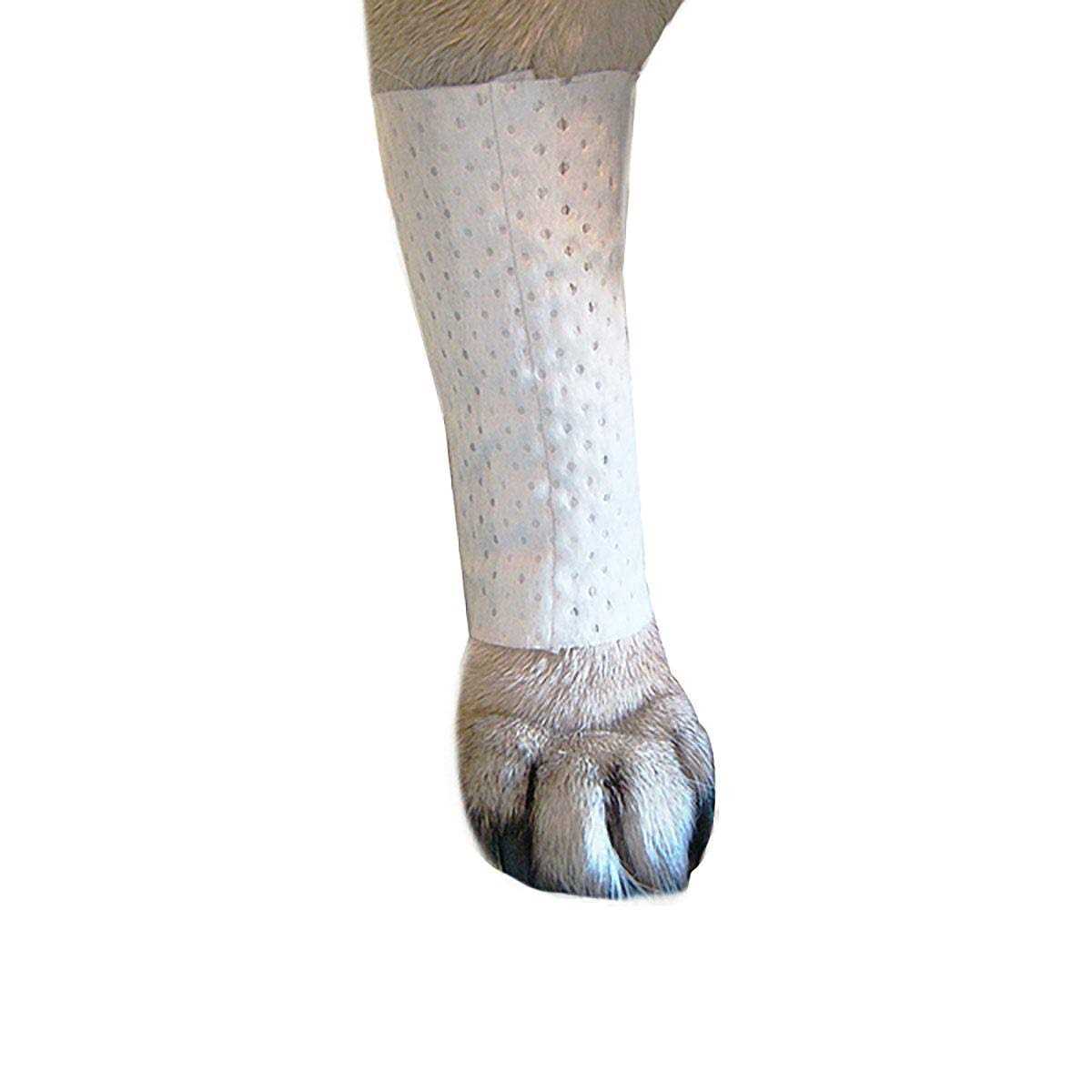 Protective Covers for Pets M477
