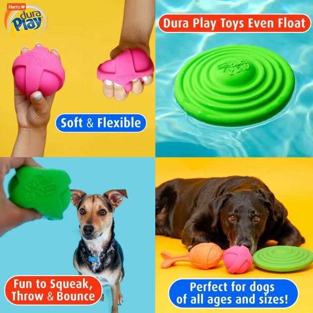 Dog Toy H913050