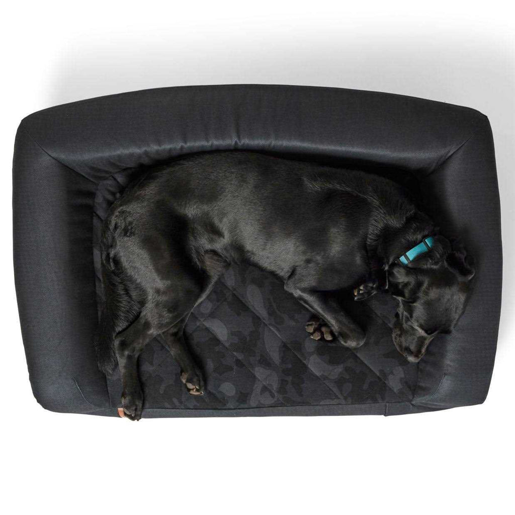 Couch Q971