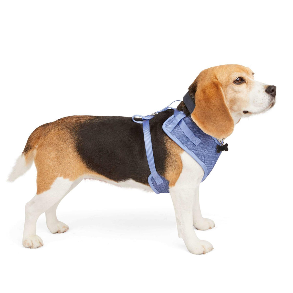Heather Pullover Dog Harness W2566