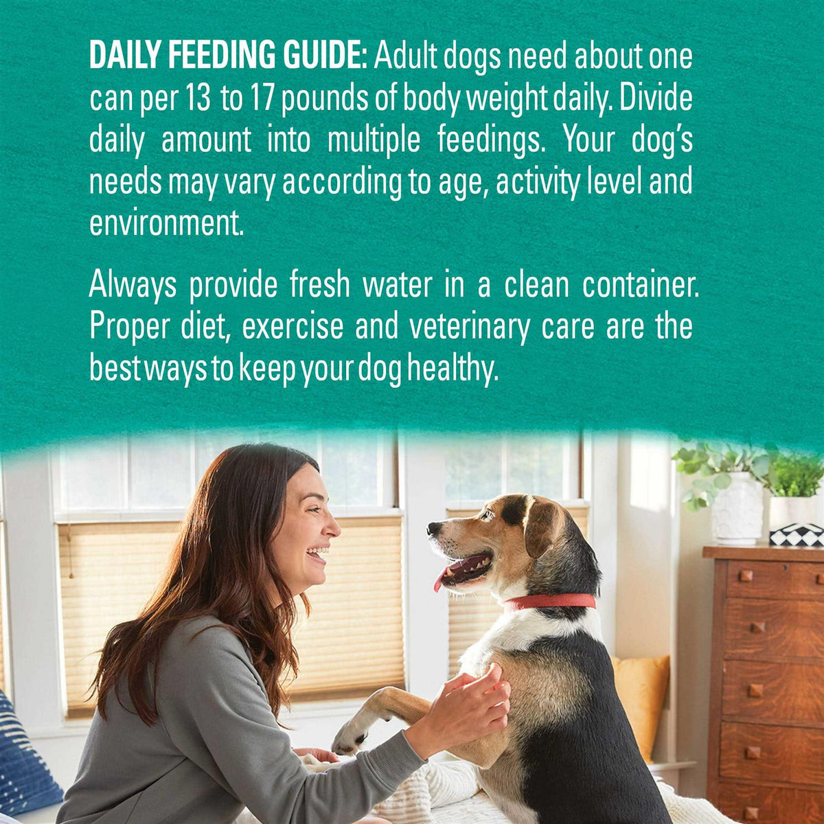 Alaskan Cod Salmon & Sweet Potato Wet Dog Food Can K55668