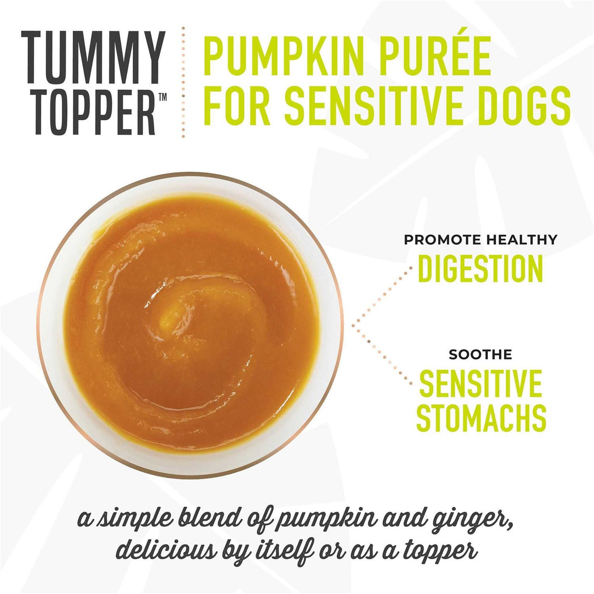Pumpkin Ginger Dog Tummy Topper J49342