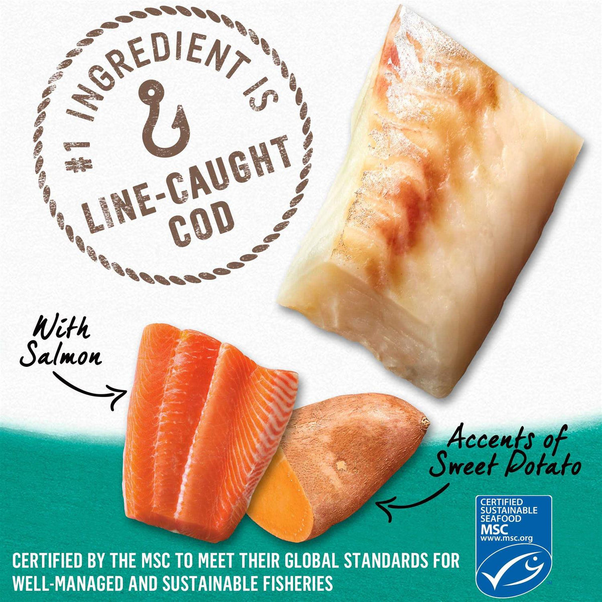 Alaskan Cod Salmon & Sweet Potato Wet Dog Food Can K55668