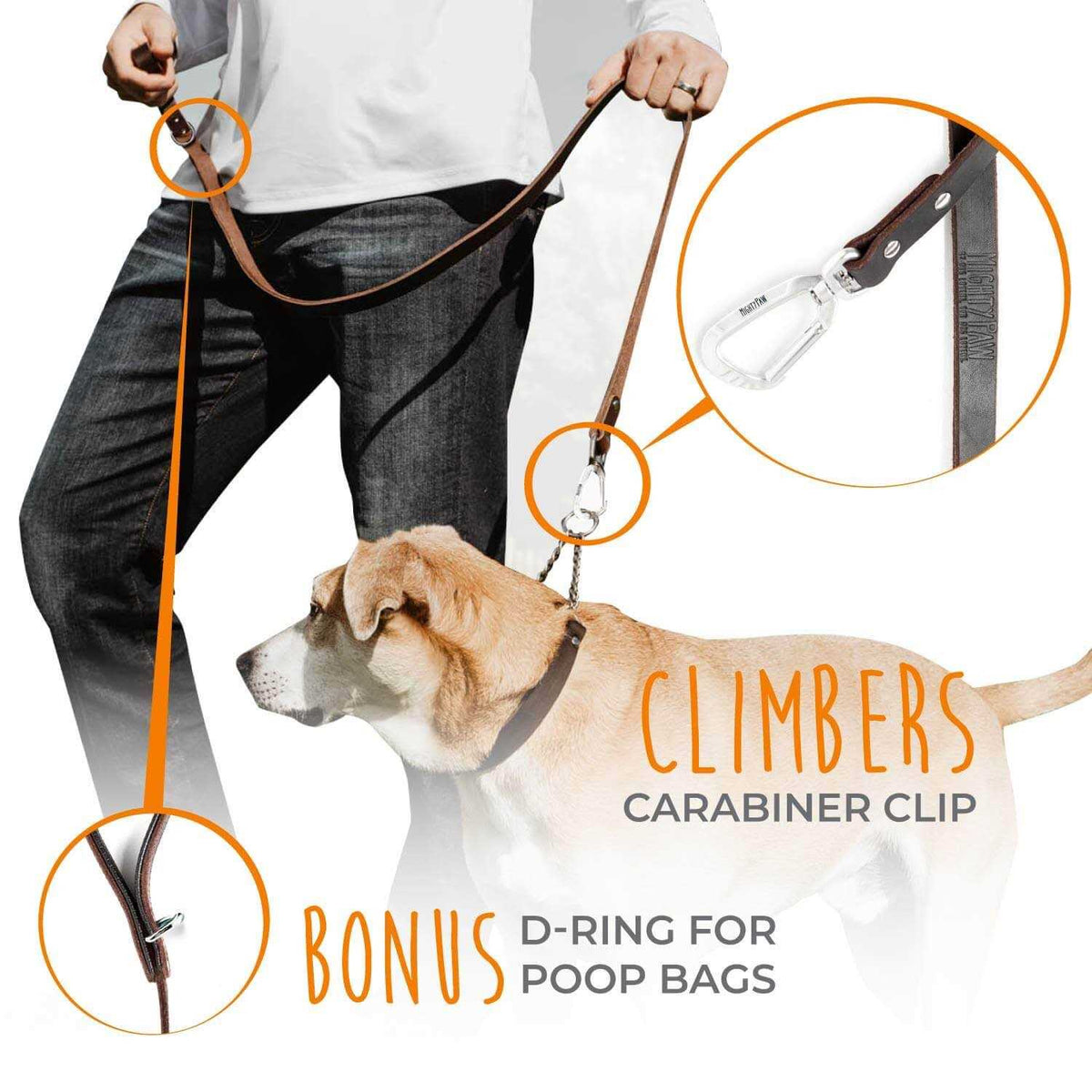 Leather Dog Leash P780